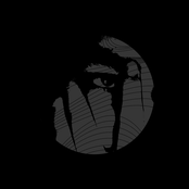 What I've Done For Them