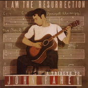 I Am The Resurrection:  A Tribute To John Fahey Album Picture