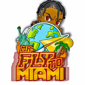Mr. FlyTo Miami