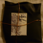 Physionomie du Désastre