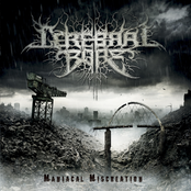 Maniacal Miscreation by Cerebral Bore