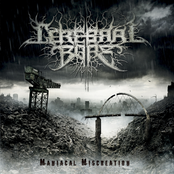 The Bald Cadaver by Cerebral Bore