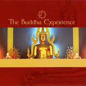 the buddha experience