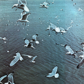 Tapeworks Volume VII (Landmusik)