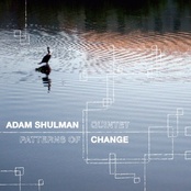 Adam Shulman: Patterns Of Change