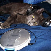 break + save (slowed)