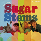 Next To You by The Sugar Stems