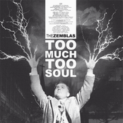 Too Much Too Soul
