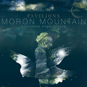 Moron Mountain (feat. Charlie Bass)