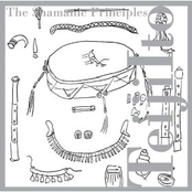 The Shamanic Principles