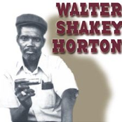 Shakey Horton (big Walter Horton)