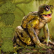 Crack Addicted Frogs From Intersexual Hyper Space