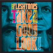 Down To The Ground by The Fleshtones