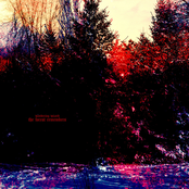 The Forest Remembers