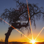 cottonwood