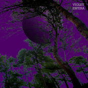 Violet Esfera
