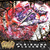 Perishing Placenta