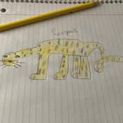 LEOPARD EXPERIMENT