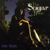 Amy Rigby: The Sugar Tree