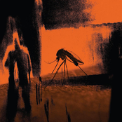 Faster Than the Radio / Mosquito