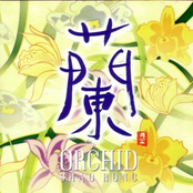 Orchid