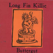 Butterbelly by Long Fin Killie