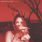 Postcard by Widespread Panic