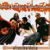 Afrociberdelia