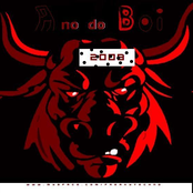 Ano do Boi