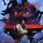 Schizophrenia Artwork