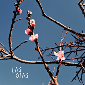 Las Olas
