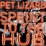 Pet Lizard: Sprint to the Hub