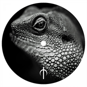 Disturbance of Perception