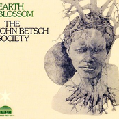 Song For An Untitled Lady by The John Betsch Society