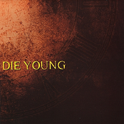 My Only Surrender by Die Young