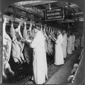 The Mandus Processing Company