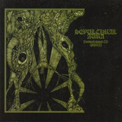 Equilibrium In The Deathwind Stench by Sepulchral Aura