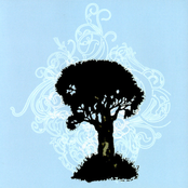 We're All Just Passing Through