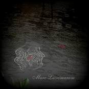 Mare Lacrimarum