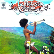 La Protesta de Colombia