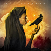 Luciférnaga