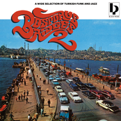Bosporus Bridges 2: A Wide Selection Of Turkish Funk and Jazz
