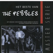 Het Beste Van The Pebbles