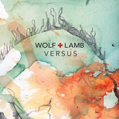 Wolf & Lamb: Versus