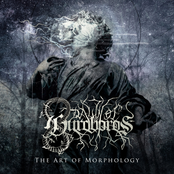Dawn of Ouroboros: The Art of Morphology