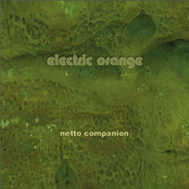 Netto Companion