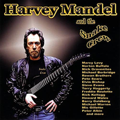 Harvey Mandel & The Snake Crew