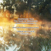 Symphonic Tale: The Rune of Beginning (Music from Suikoden II)