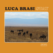 Luca Brasi: Stay