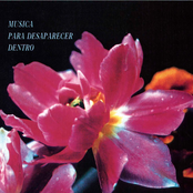 Música para desaparecer dentro